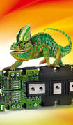 chameleonzluty.jpg